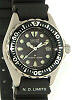 Citizen Watches EP0220-11H