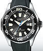 Citizen Watches EP6030-06E