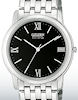 Citizen Watches AR0010-53E