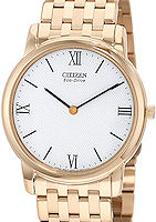 Citizen Watches AR1123-51A