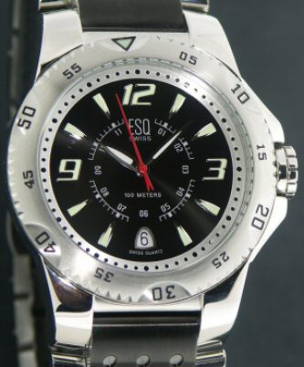 Esq Watches 07301003