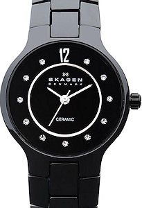 Skagen Watches 572SBXBC