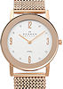 Skagen Watches 39LRR1
