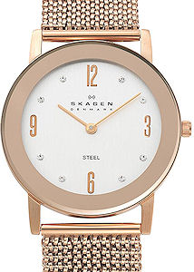 Skagen Watches 39LRR1
