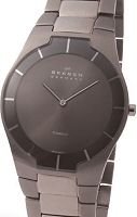 Skagen Watches 585XLTMXM
