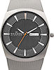 Skagen Watches 696XLTTM