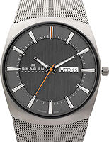 Skagen Watches 696XLTTM