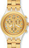 Swatch Watches SVCK4032G