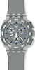 Swatch Watches SUIM402