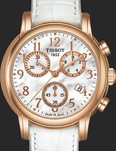 Tissot Watches T0502173611200