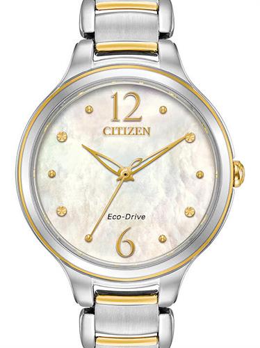 Citizen Watches EM0554-58N