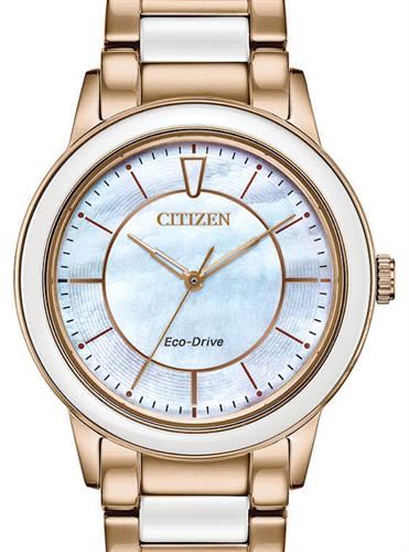 Citizen Watches EM0743-55D
