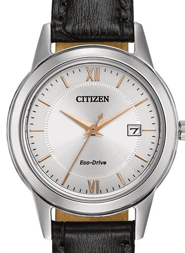 Citizen Watches FE1086-04A
