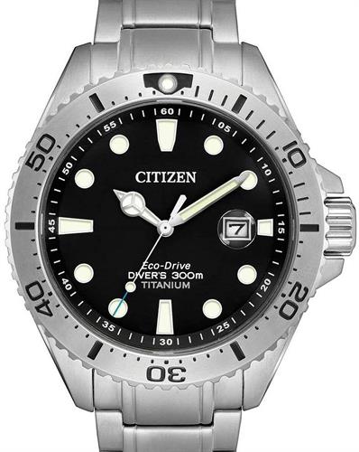 citizen promaster bn