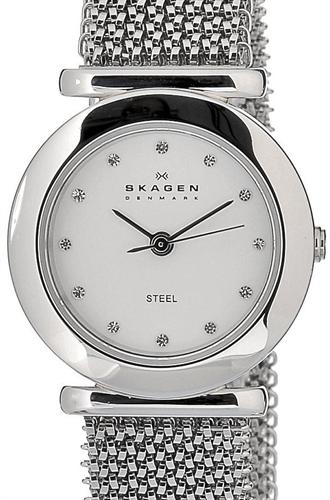 Skagen Watches 107SSSS1