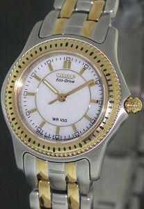 Citizen Watches EW5304-55A