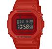 Casio Watches DW5600RRB-4