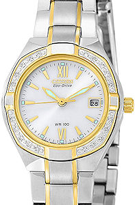 Citizen Watches EW1604-53
