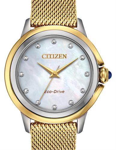 Citizen Watches EM0794-54D