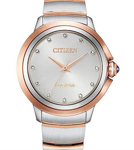 Citizen Watches EM0956-54A