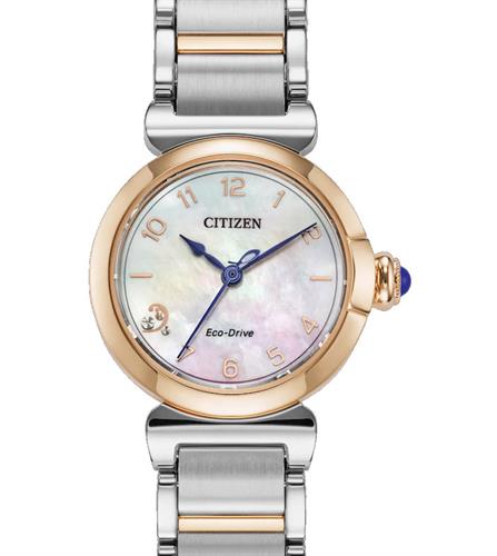 Citizen Watches EM1136-87D