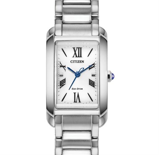 Citizen Watches EW5620-55A