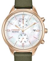 Citizen Watches FB2008-01D