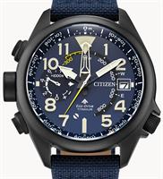 Citizen Watches BN4065-07L