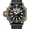 Citizen Watches JP2008-06E
