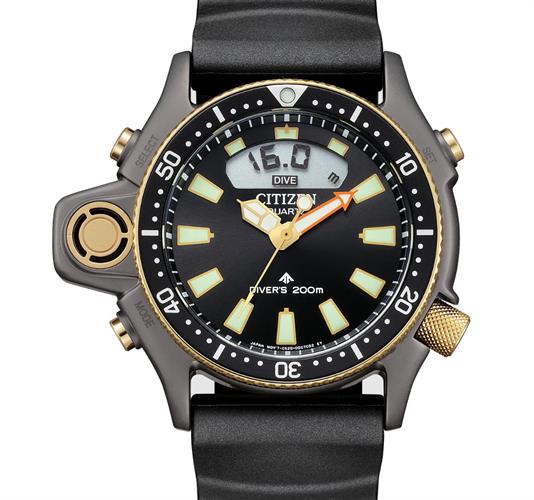 Citizen Watches JP2008-06E