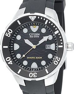 Citizen Watches BN0070-09E