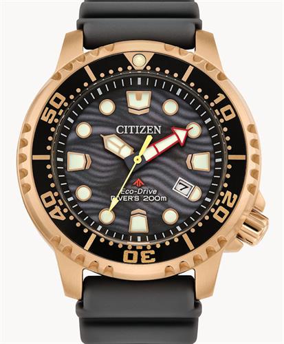 Citizen Watches BN0163-00H