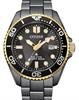 Citizen Watches BN0264-53E