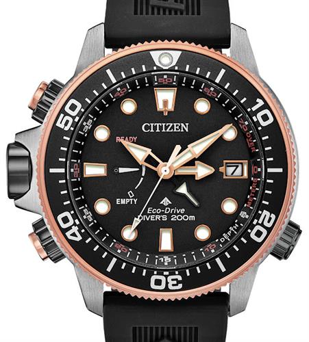 Citizen Watches BN2037-03E