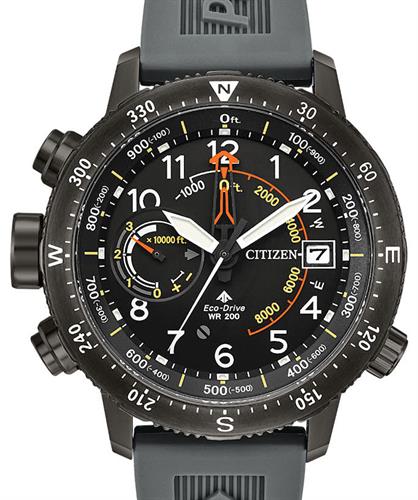 citizen promaster bn