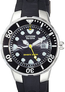Citizen Watches EP6010-03E