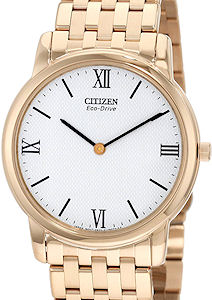 Citizen Watches AR1123-51A