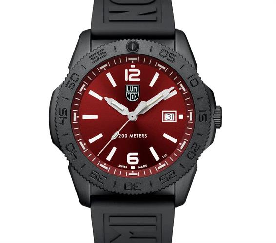 Luminox Watches XS.3135.B